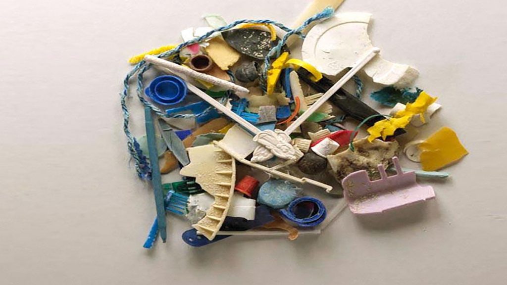 سخنرانی تد : دایانا کوهن: حقیقت تلخی درباره‌ی آلودگی پلاستیکی
