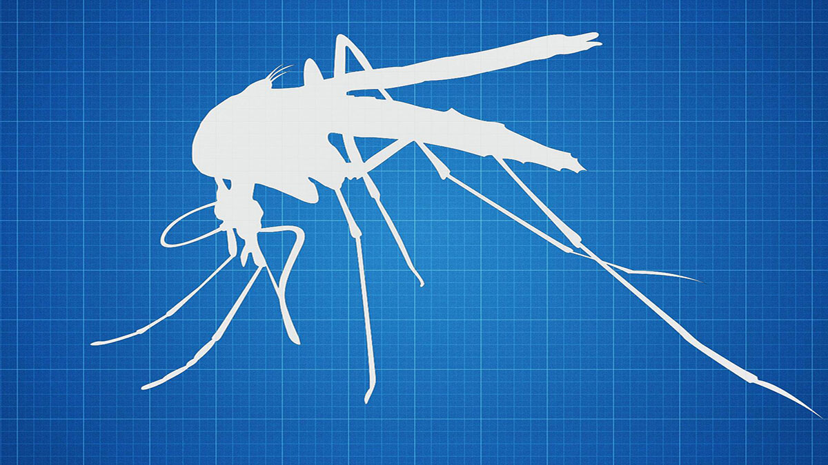 سخنرانی تد : هیدن پری: دگرسازی ژنیتیکی پشه‌ مالاریا به منظور مبارزه با بیماری مالاریا