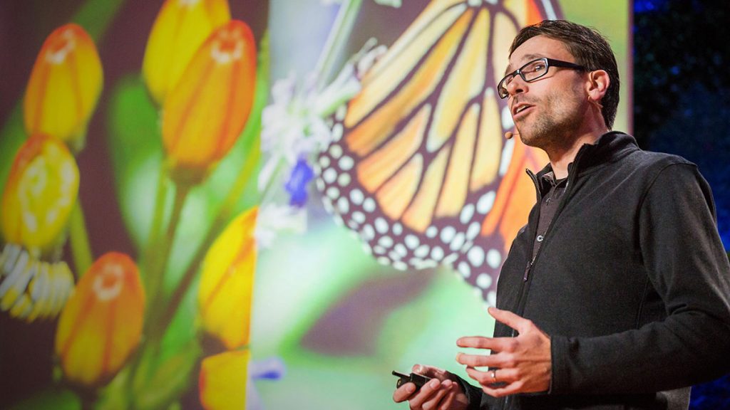 سخنرانی تد : نحوه خود درمانی پروانه ها