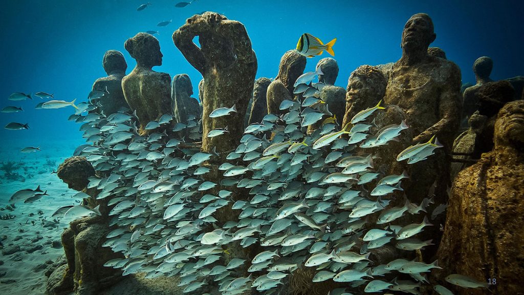 سخنرانی تد : موزه هنر زیر آب: سرشار از حیات